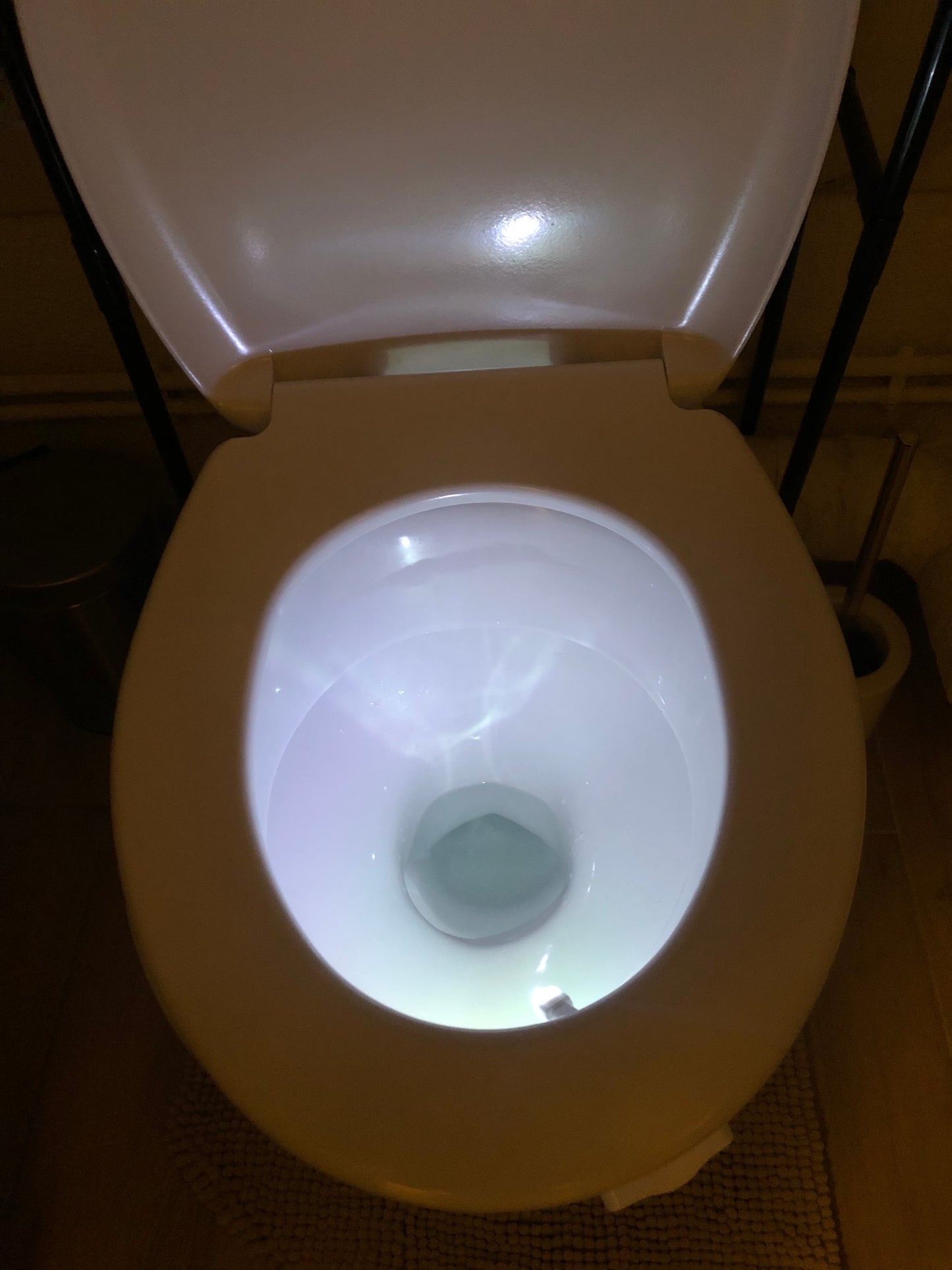 Detecteur mouvement toilette