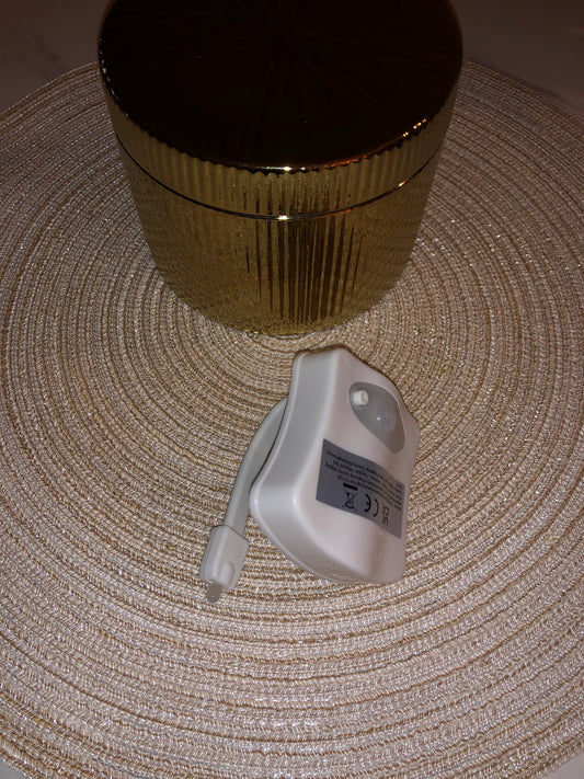 Detecteur mouvement toilette